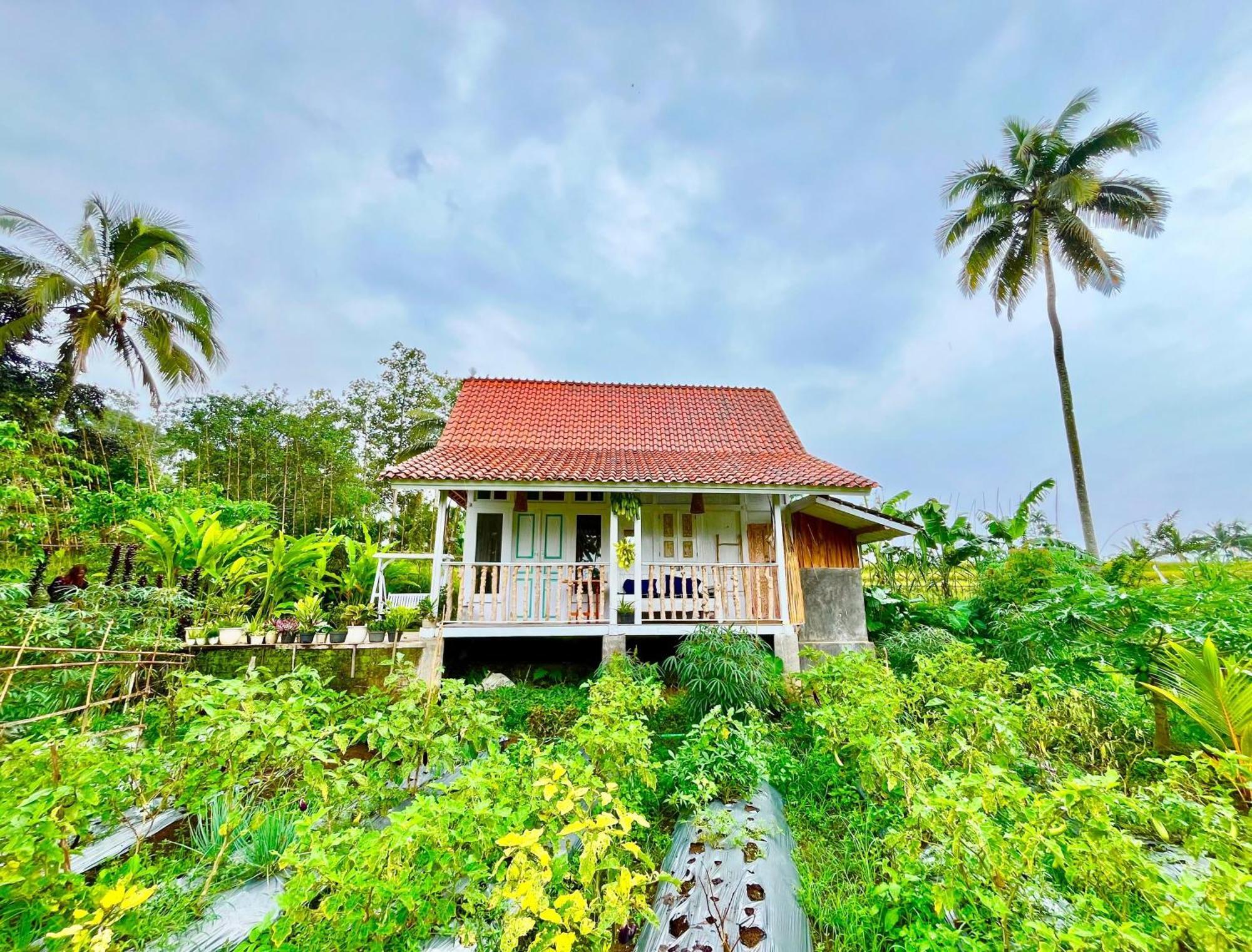 Pondok Is Oke Villa Scenic View Banyuwangi  Exterior foto